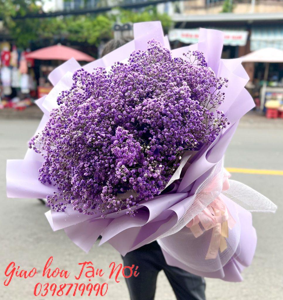 Hoa salem tím – Tình yêu khắc cốt ghi tâm