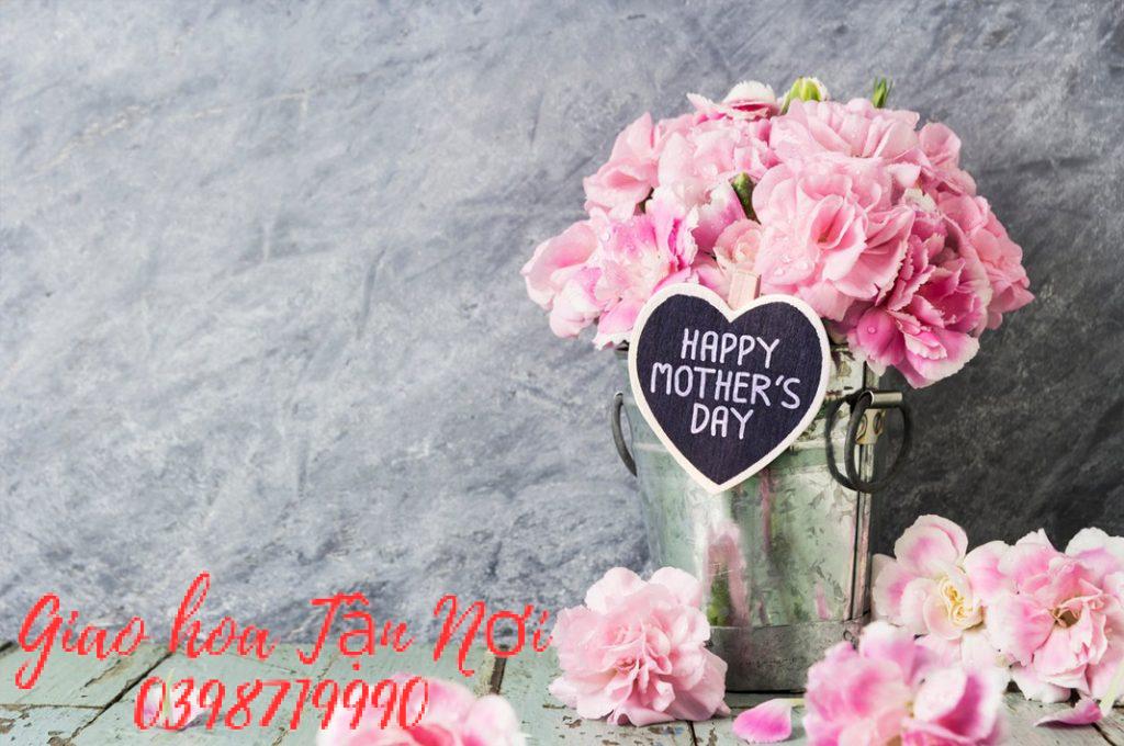 Hoa tặng mẹ cẩm chướng