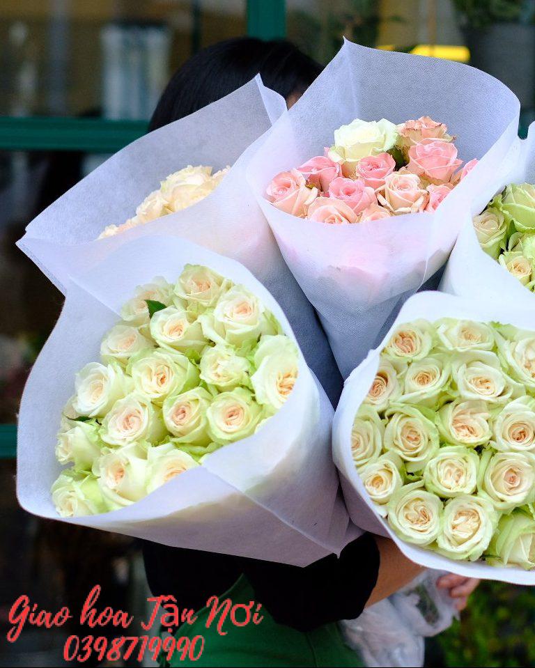 Ý nghĩa của hoa hồng Ohara