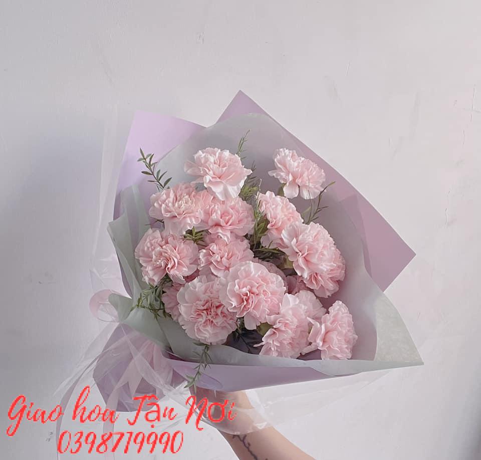 5. Hoa cẩm chướng hồng - sự lo lắng, quan tâm và gửi gắm đến đối phương lời xin lỗi chân thành