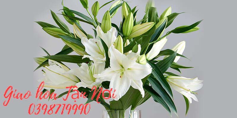 Ý nghĩa quan trọng của bó hoa ly