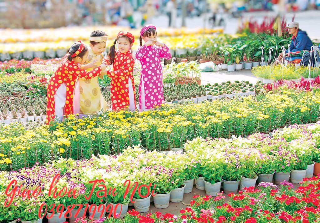 Chọn Hoa Ngày Tết Phù Hợp Với Không Gian