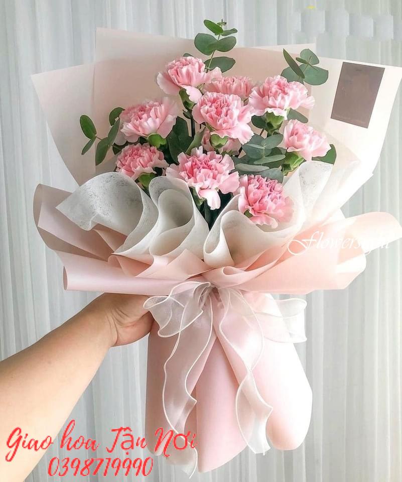 Ý nghĩa của hoa cẩm chướng
