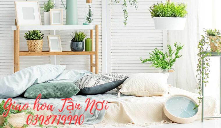 Những điều cần lưu ý khi bố trí cây xanh trong phòng ngủ