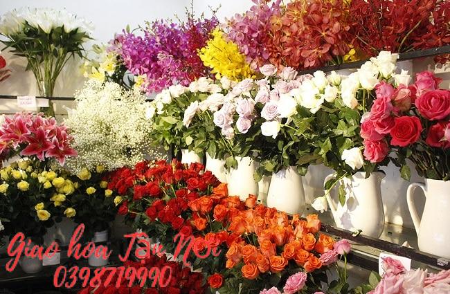 Shop Hoa Tươi Thủ Đức